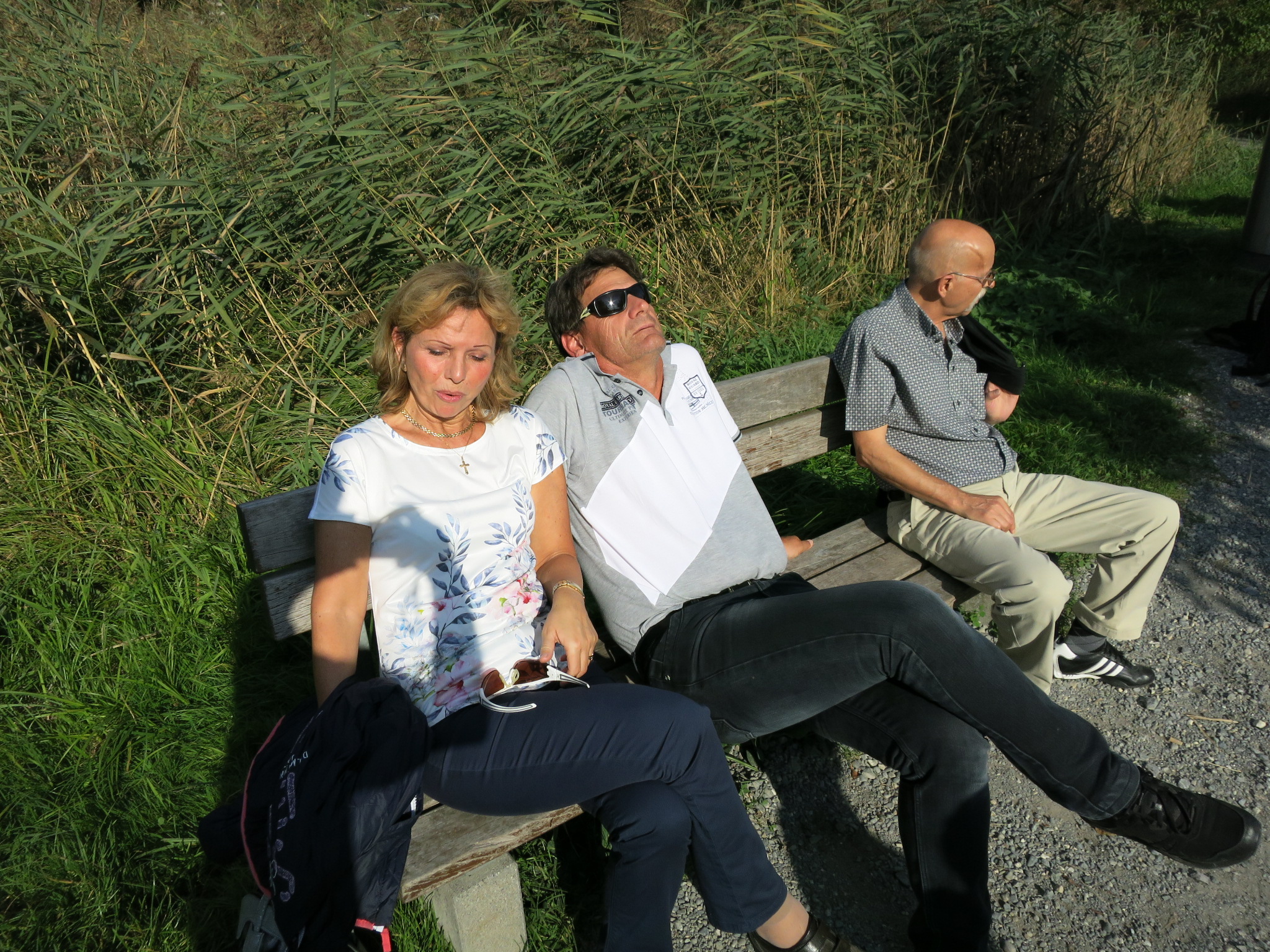 IMG 0621
