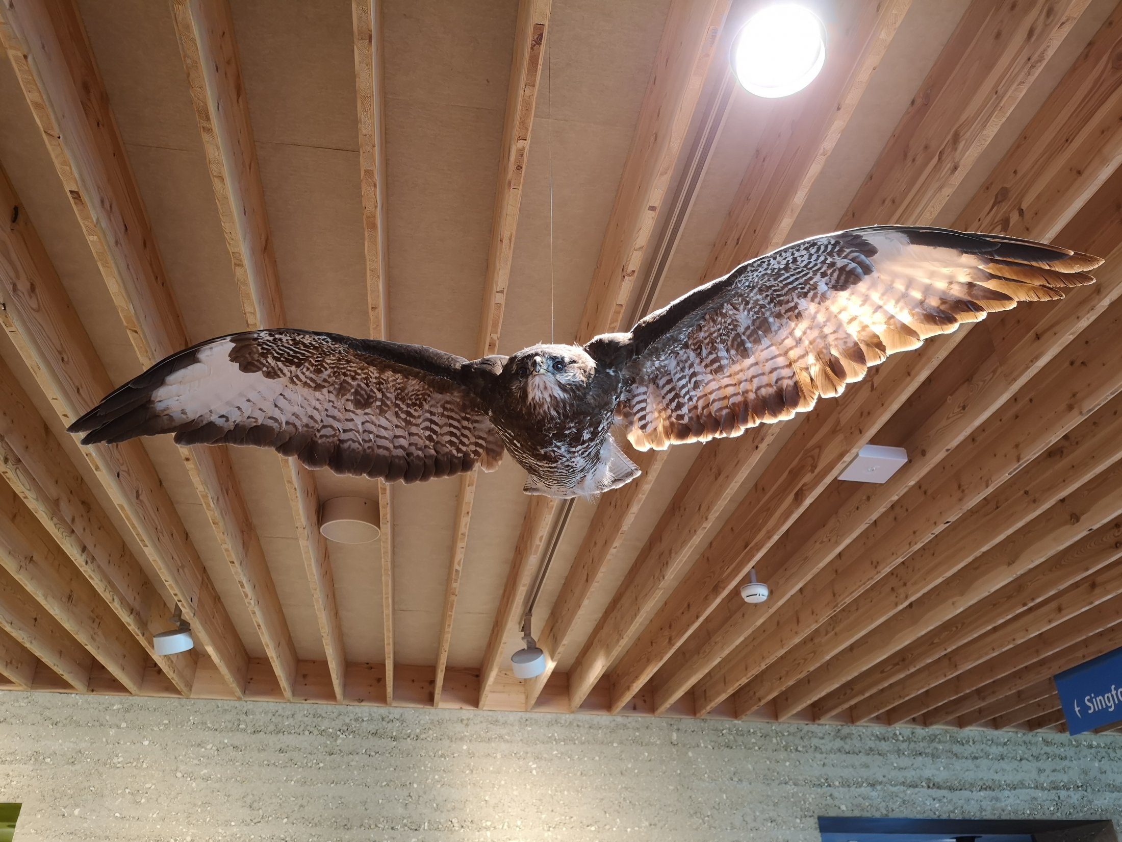 Vogelwarte Sempach