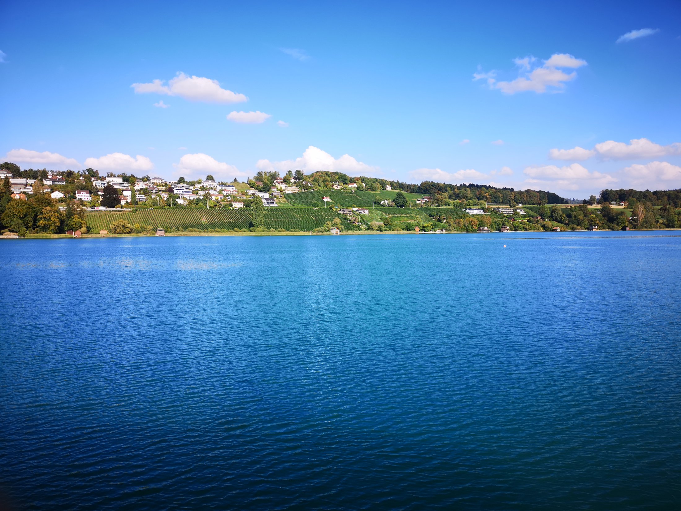 Hallwilersee